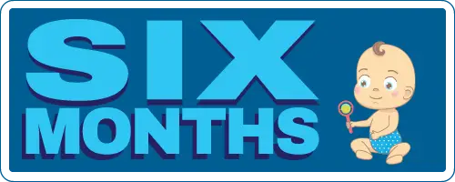 Six Months