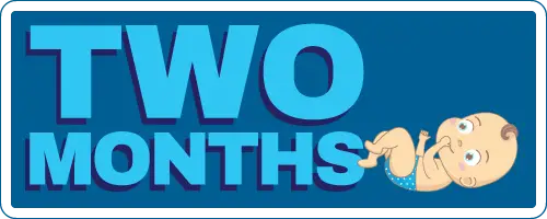 Two Months